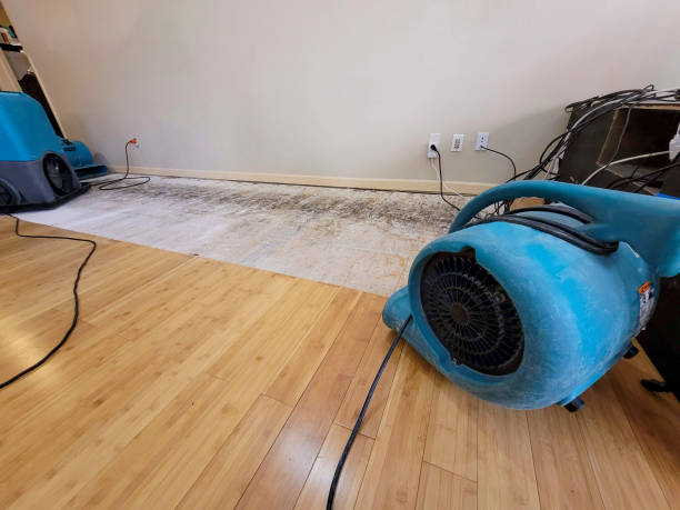 Professional Basement Flood Cleanup technician working in LaGrange, GA